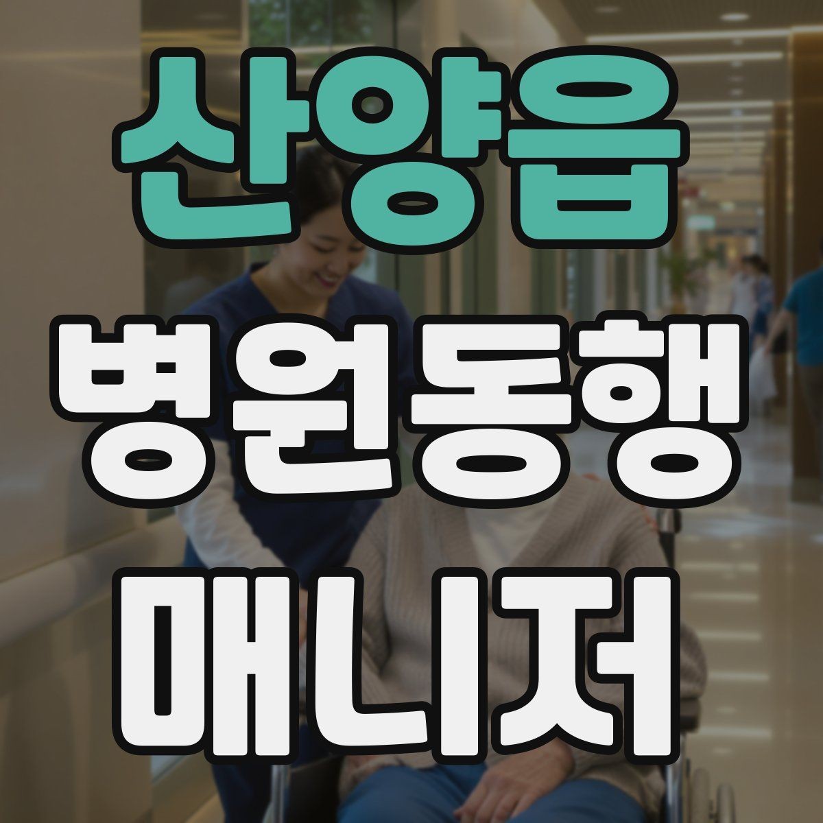 산양읍 병원동행매니저 자격증 취득 후 활동을 시작하는 순서