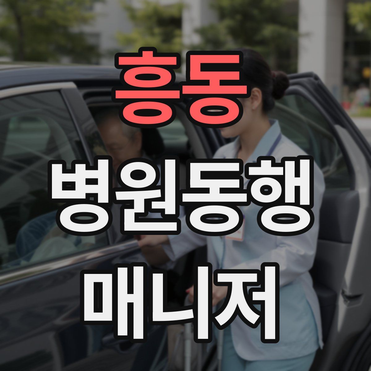 흥동 병원동행매니저 자격증
