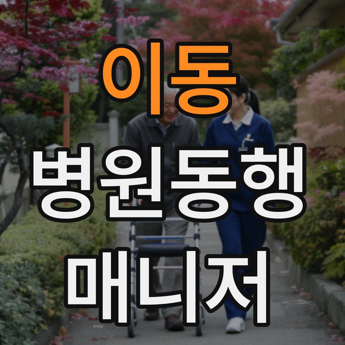 이동 병원동행매니저 자격증