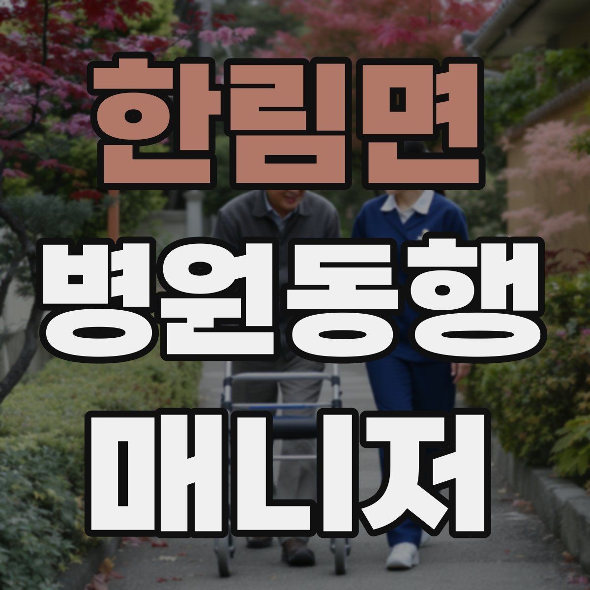 한림면 병원동행매니저 자격증 준비 전에 알아두면 좋은 기본 역할