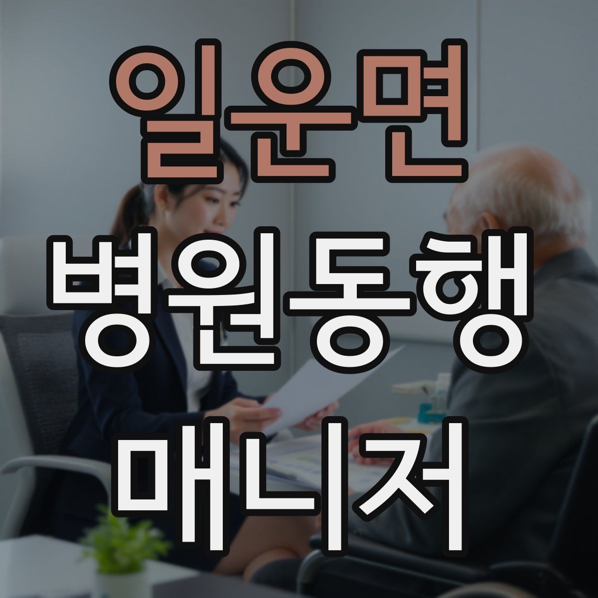 일운면 병원동행매니저 자격증