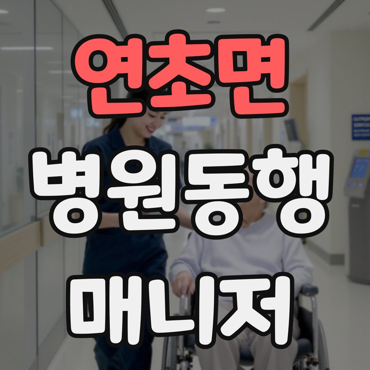 연초면 병원동행매니저 자격증