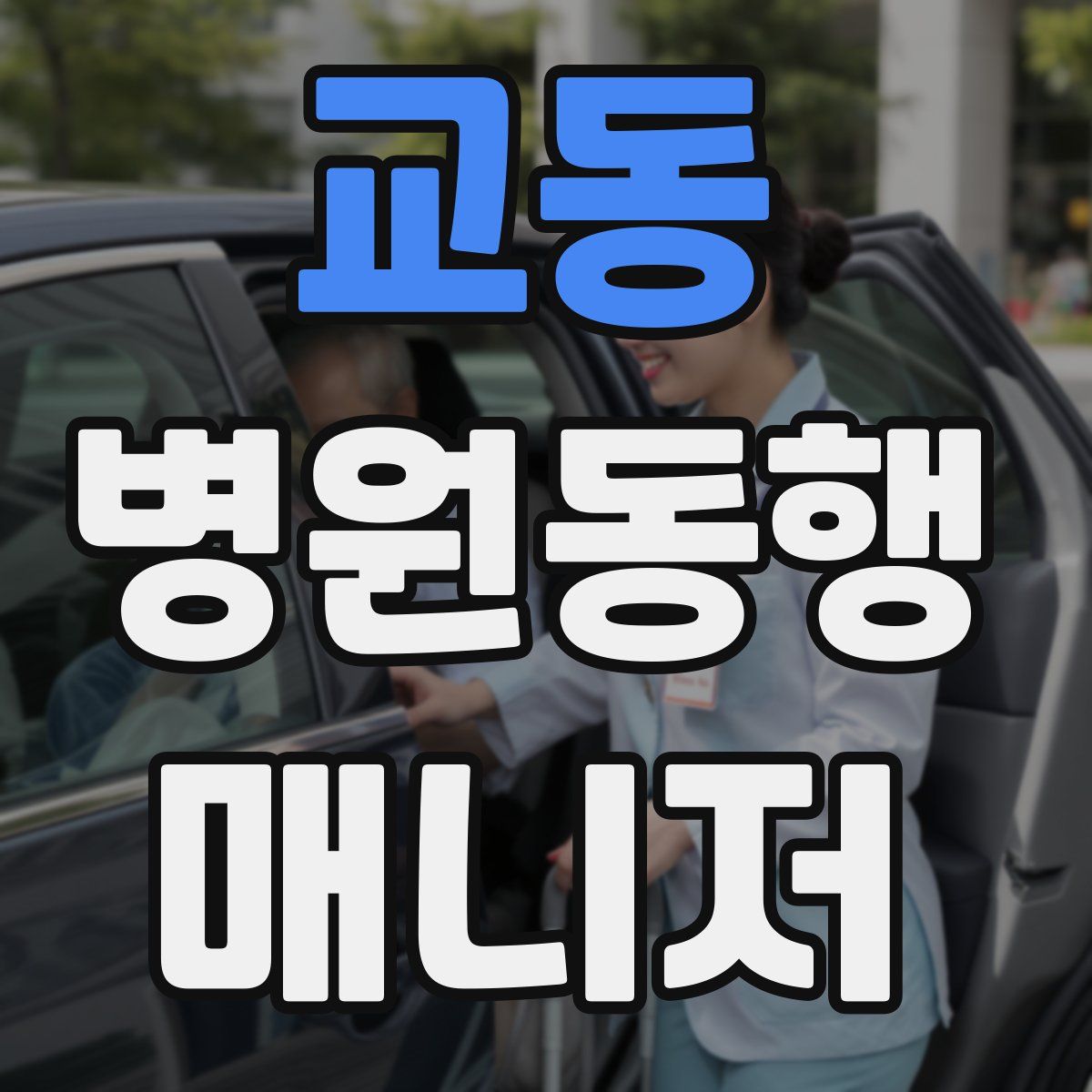 교동 병원동행매니저 자격증