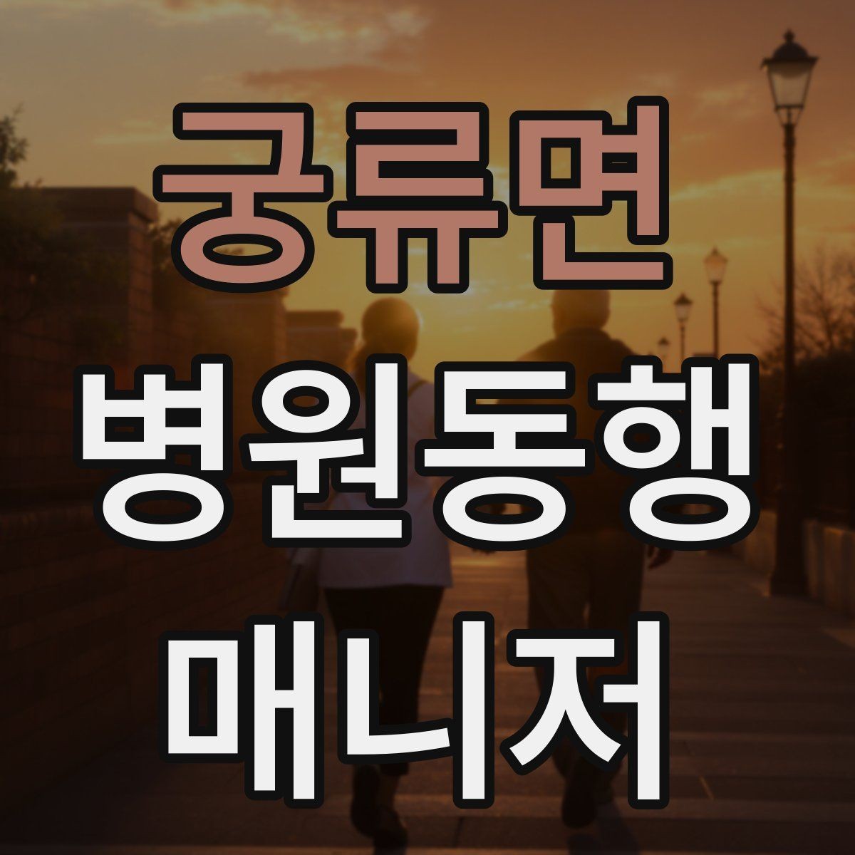 궁류면 병원동행매니저 자격증 처방전·영수증 정리 요령