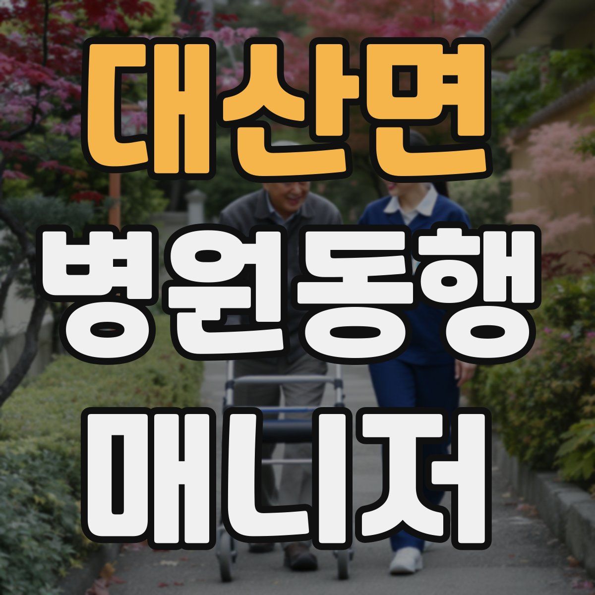 대산면 병원동행매니저 자격증