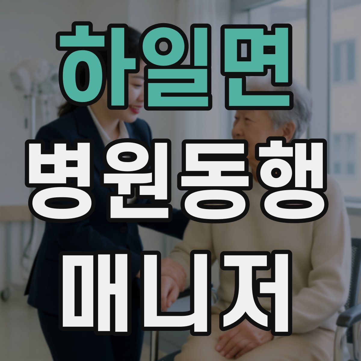 하일면 병원동행매니저 자격증