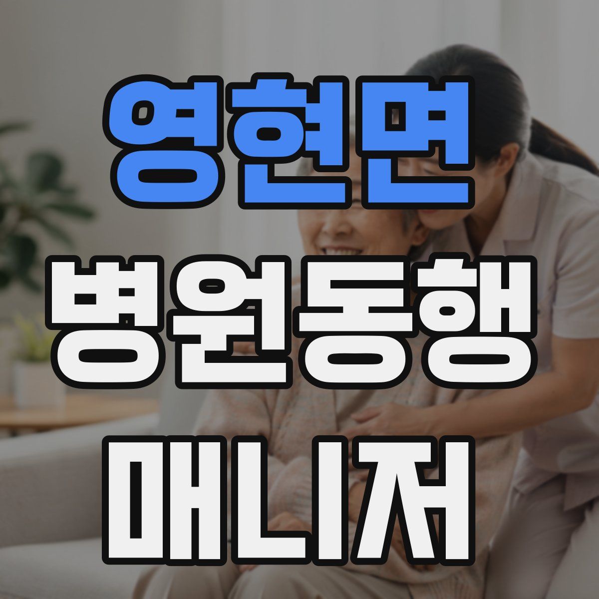 영현면 병원동행매니저 자격증