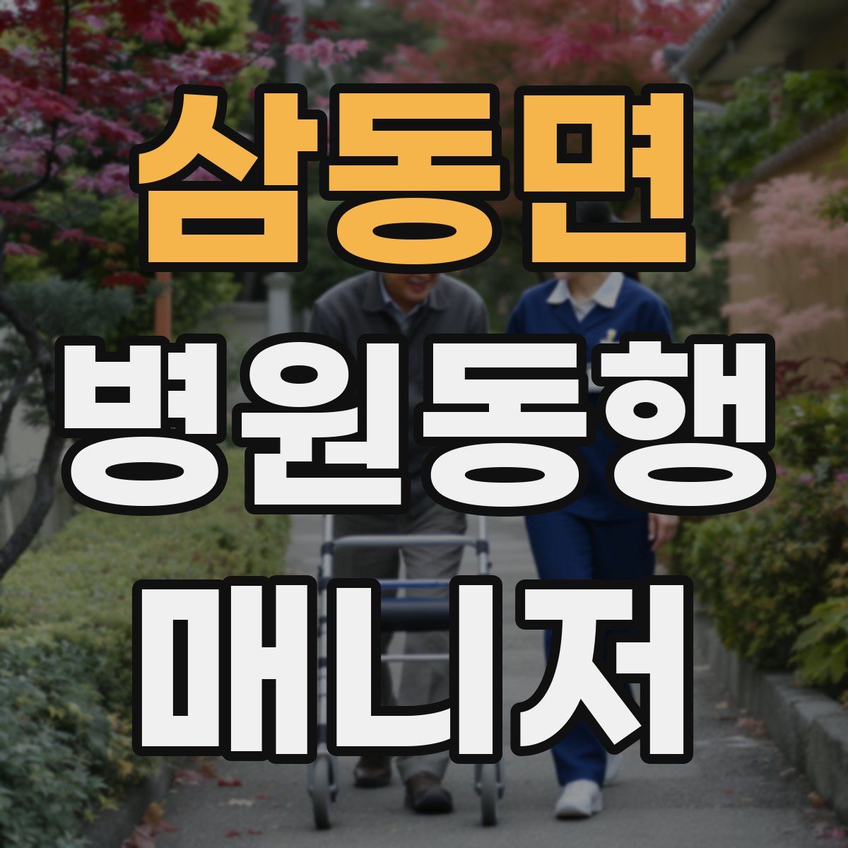삼동면 병원동행매니저 자격증