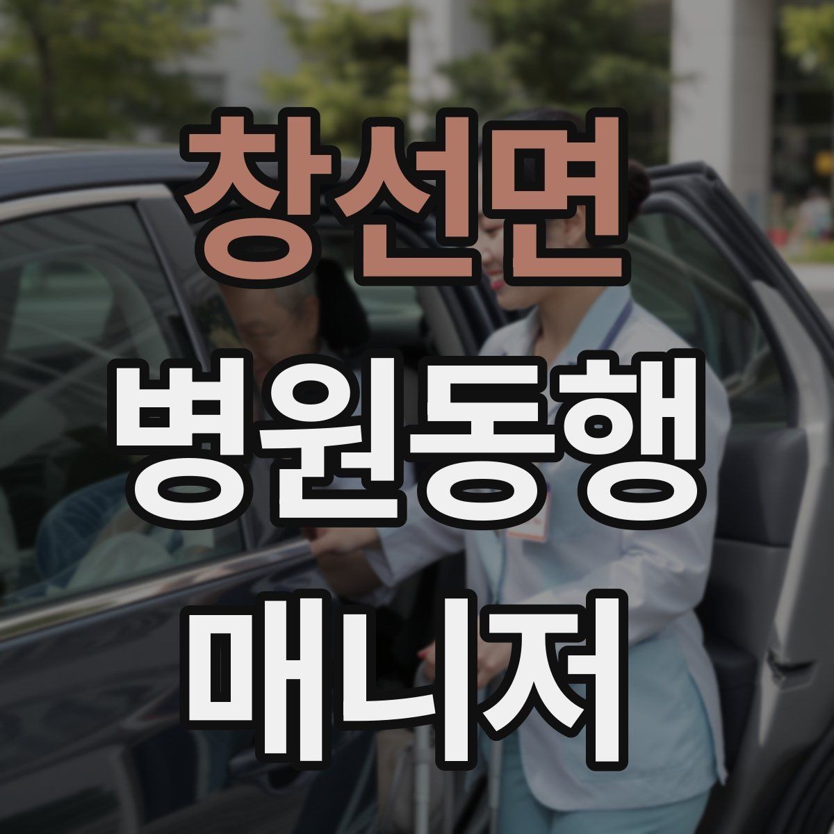 창선면 병원동행매니저 자격증 일정 확정 전 확인 질문 리스트