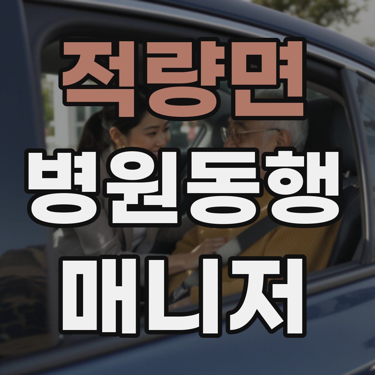 적량면 병원동행매니저 자격증