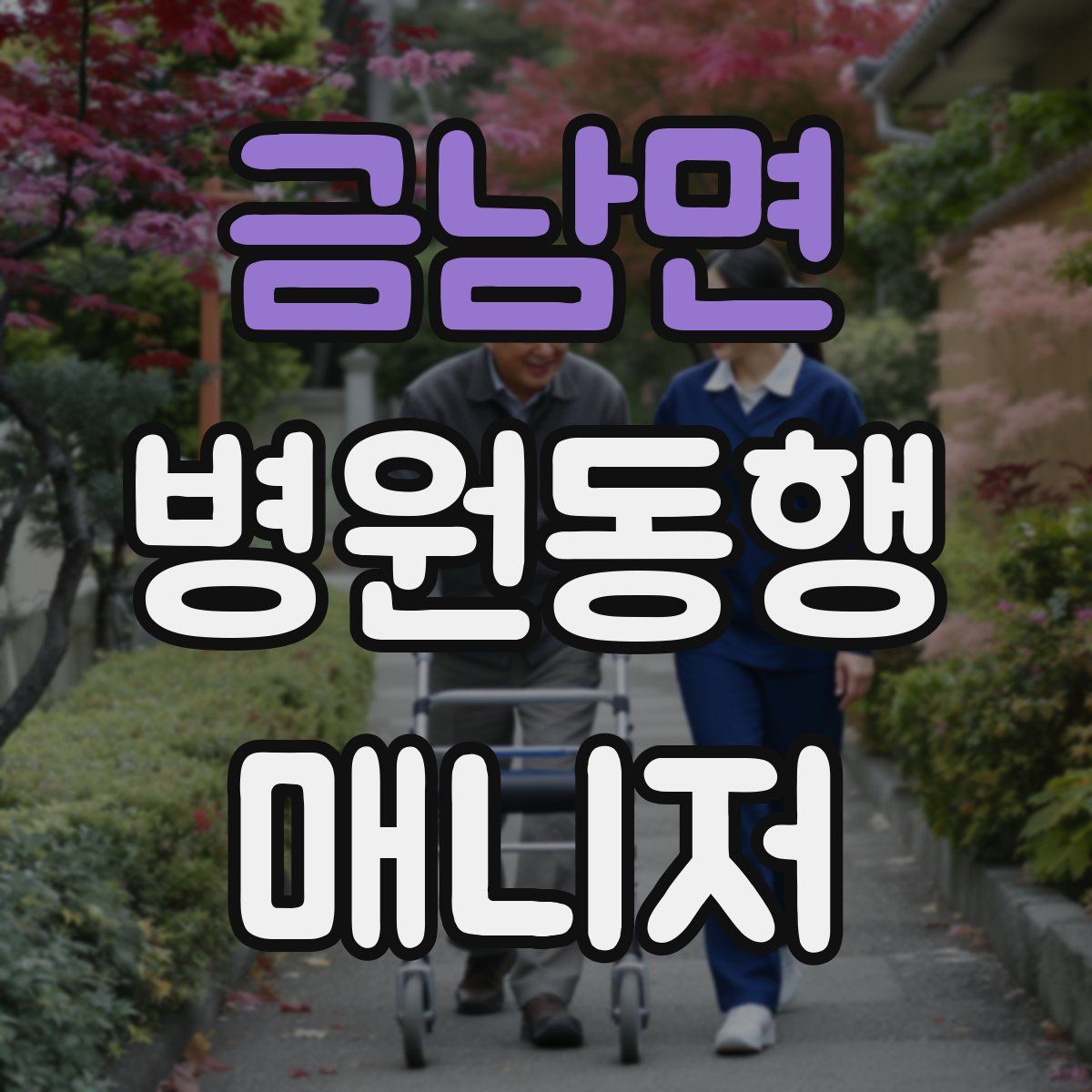 금남면 병원동행매니저 자격증