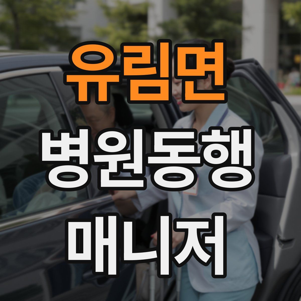 유림면 병원동행매니저 자격증