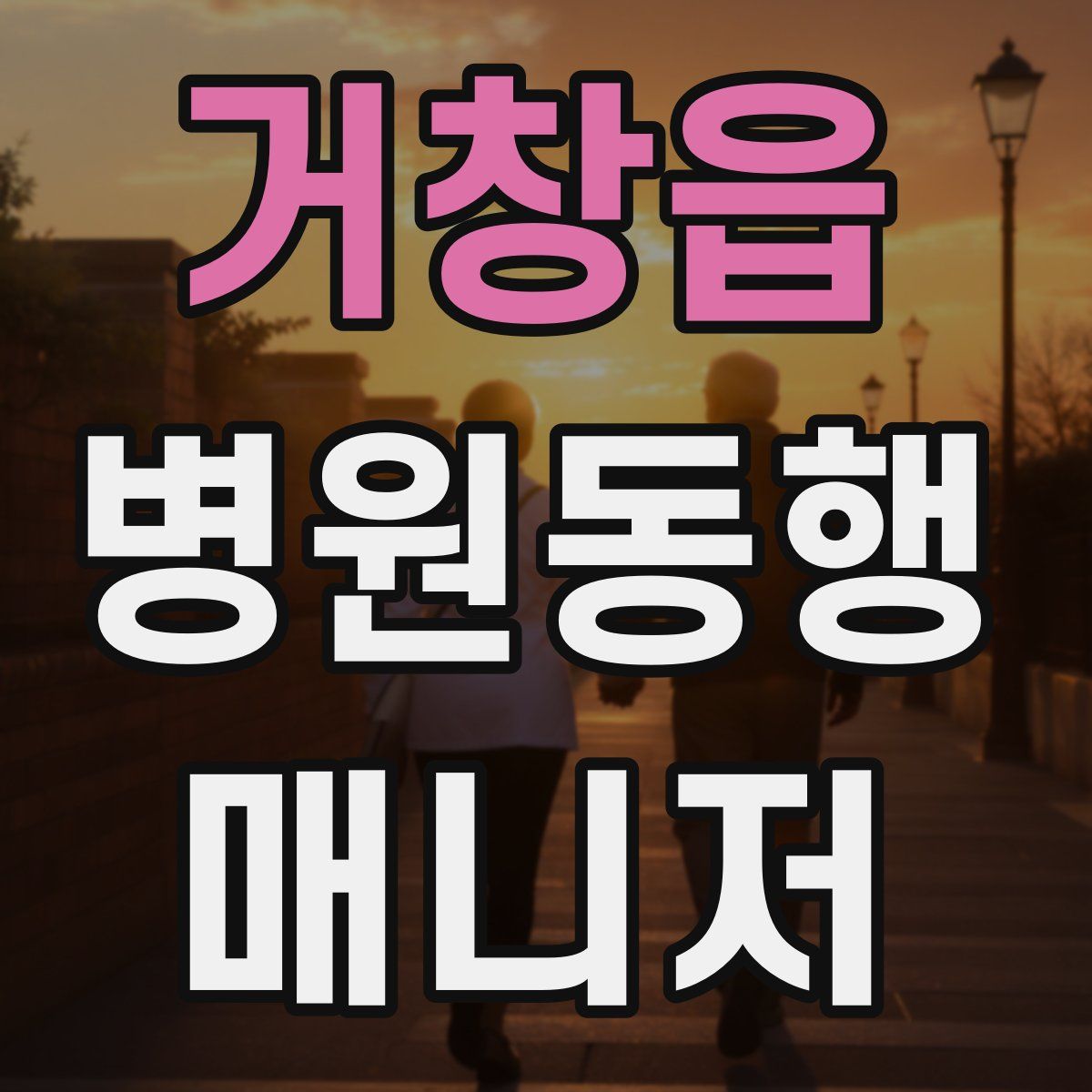 거창읍 병원동행매니저 자격증