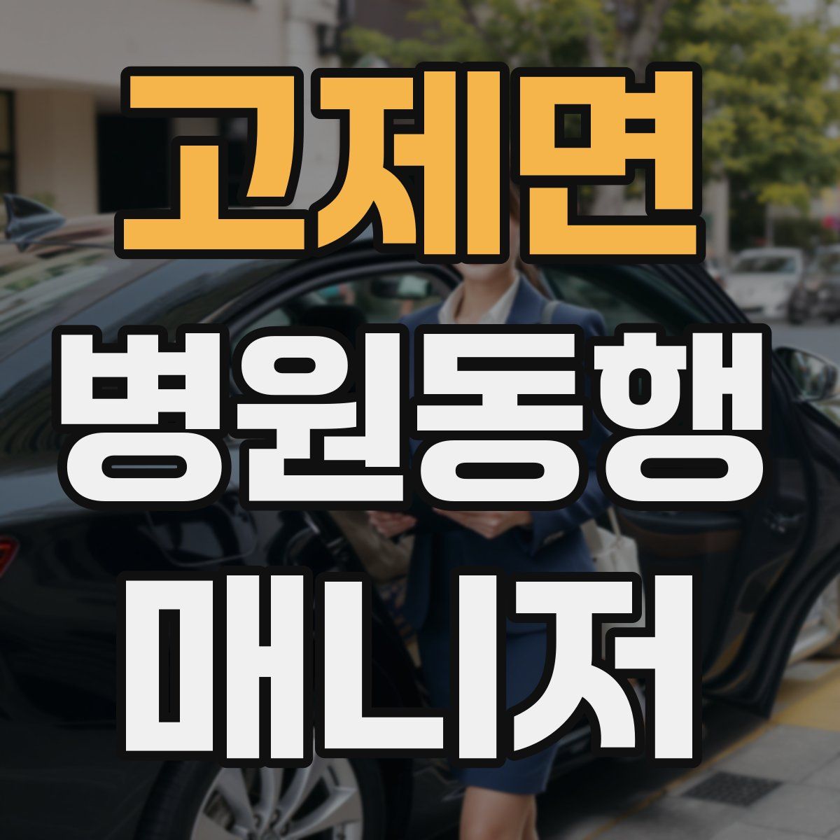 고제면 병원동행매니저 자격증