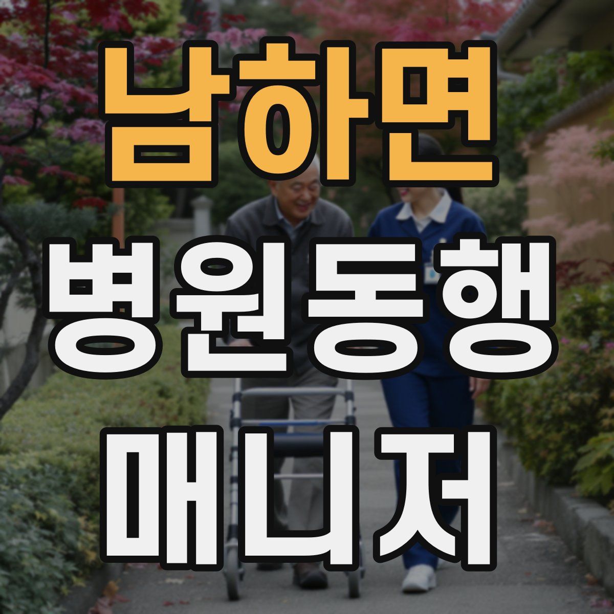 남하면 병원동행매니저 자격증