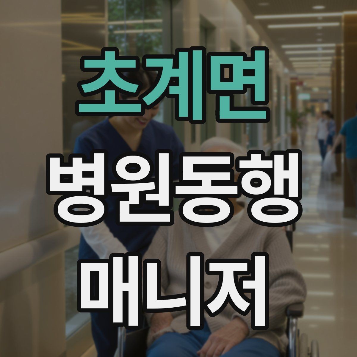 초계면 병원동행매니저 자격증 이동 중 낙상 위험 줄이는 방법