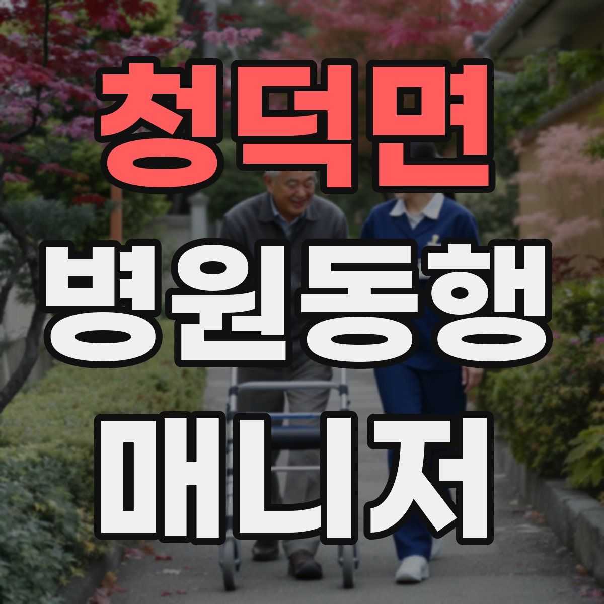 청덕면 병원동행매니저 자격증