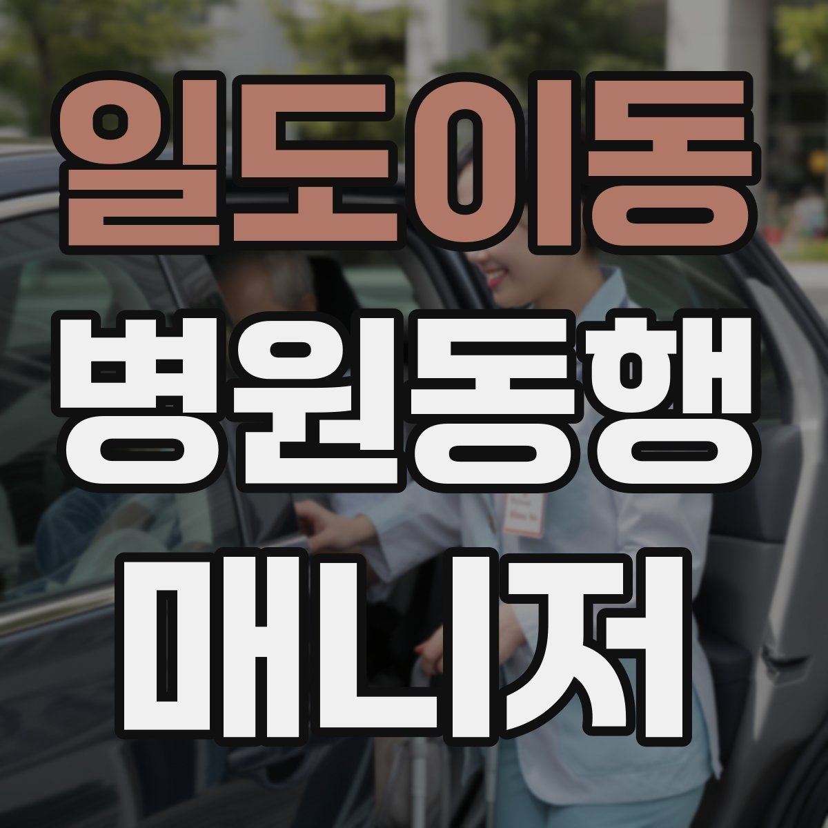 일도이동 병원동행매니저 자격증 진료실 앞 대기에서 안전하게 앉히는 법