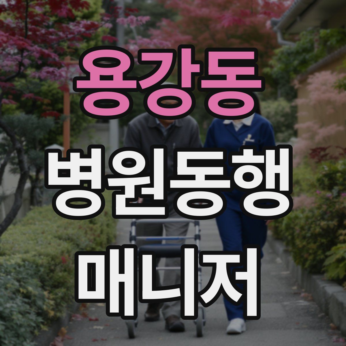 용강동 병원동행매니저 자격증