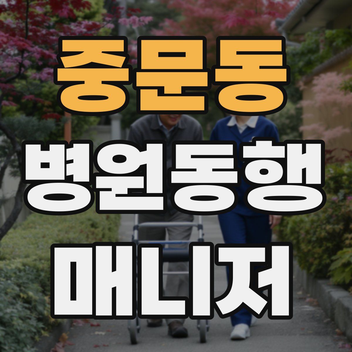 중문동 병원동행매니저 자격증