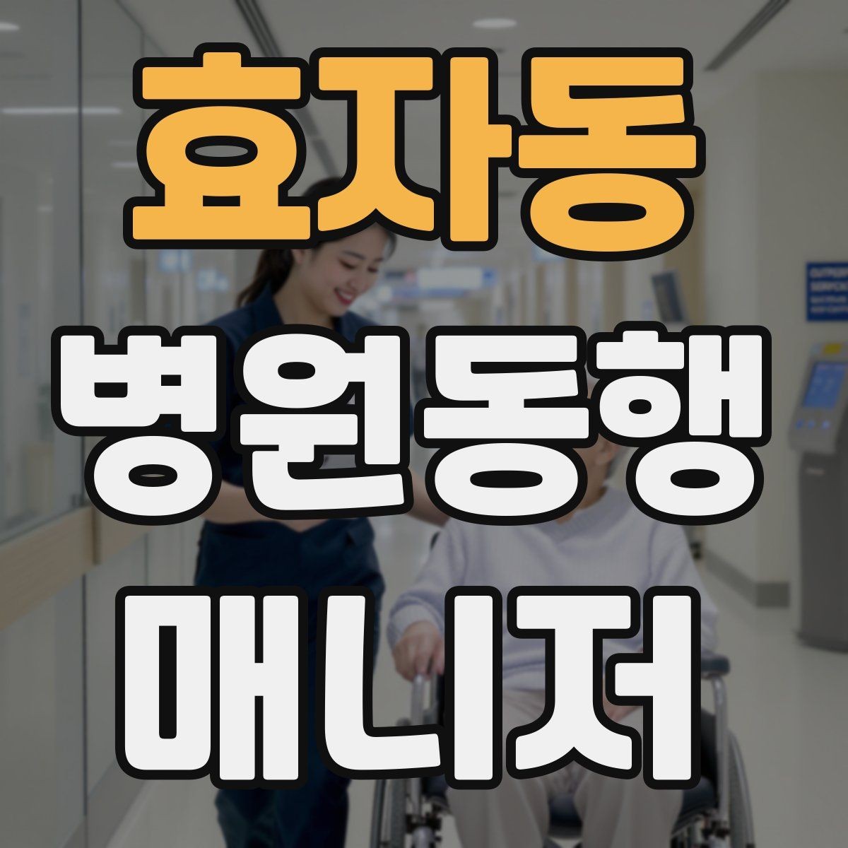 효자동 병원동행매니저 자격증 시험 합격을 위한 핵심 정리 노트