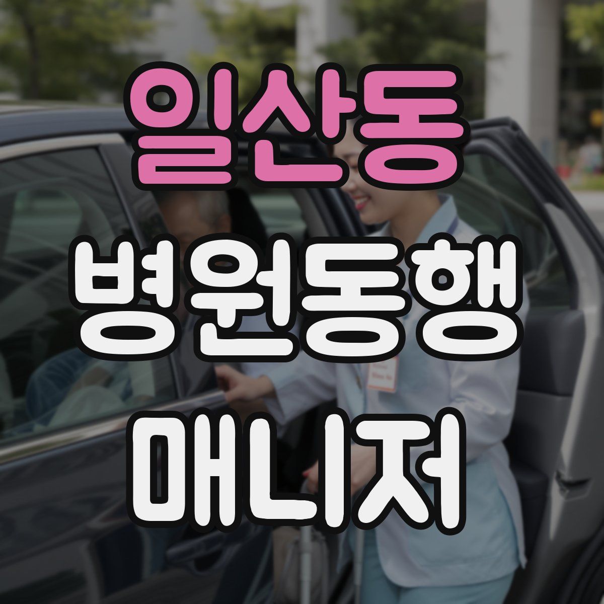 일산동 병원동행매니저 자격증