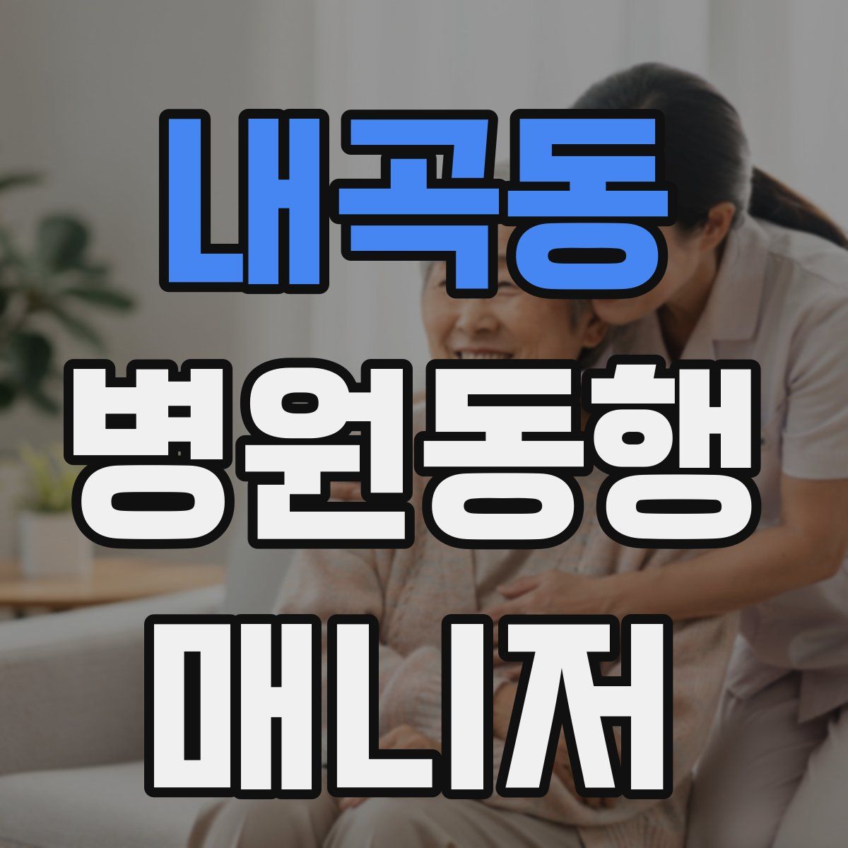 내곡동 병원동행매니저 자격증