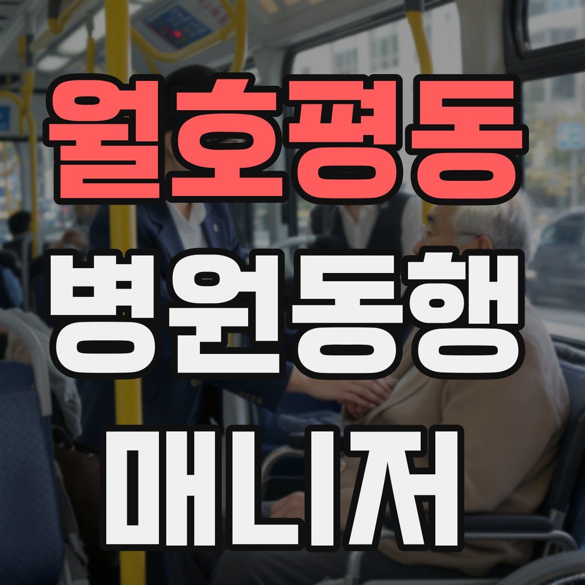 월호평동 병원동행매니저 자격증