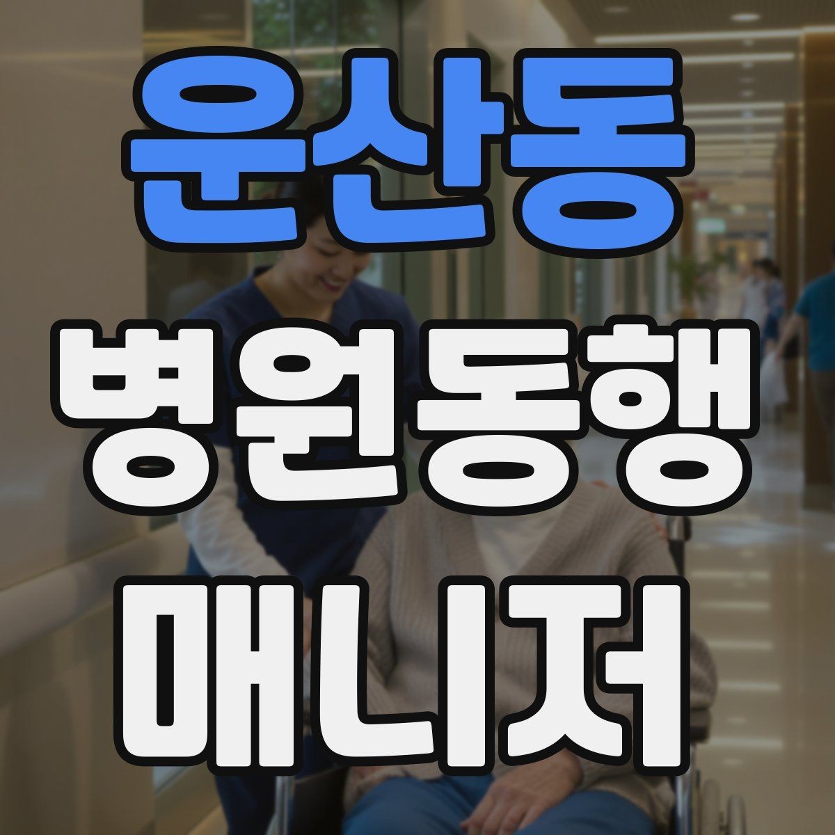 운산동 병원동행매니저 자격증 폭염·한파에 어르신 동행 시 주의