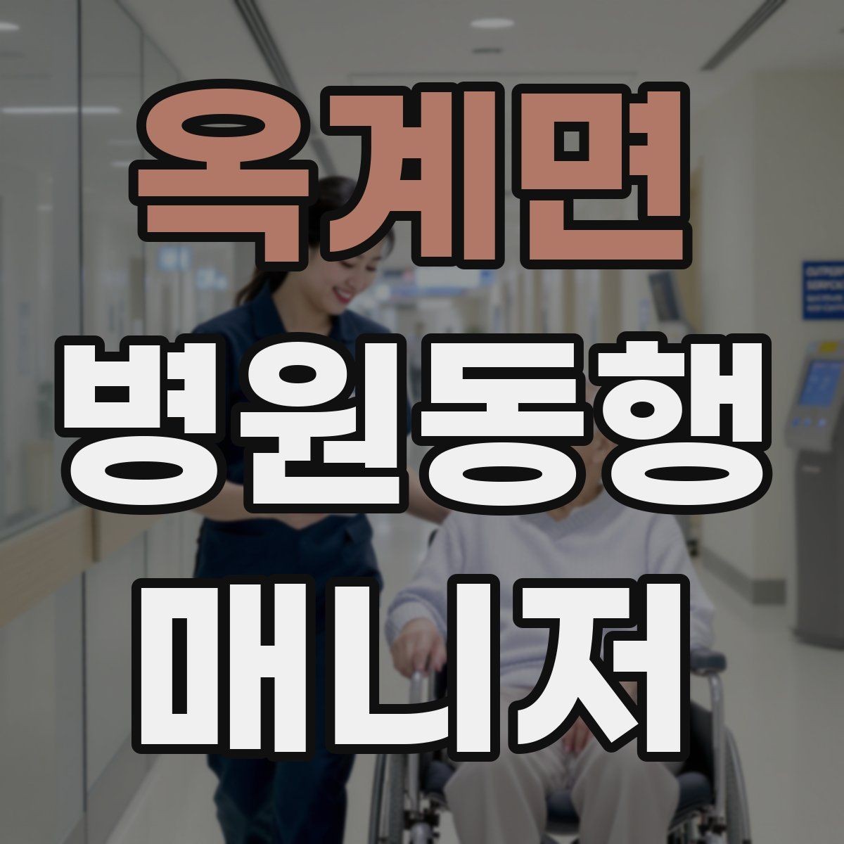 옥계면 병원동행매니저 자격증 자격 취득을 고민하는 분께 현실 조언