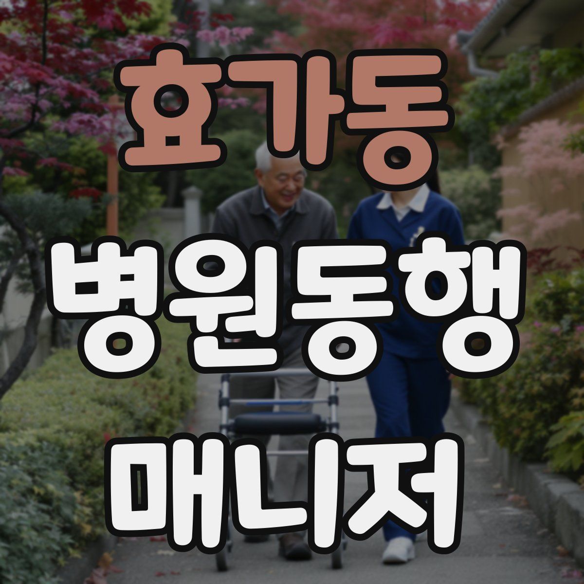 효가동 병원동행매니저 자격증