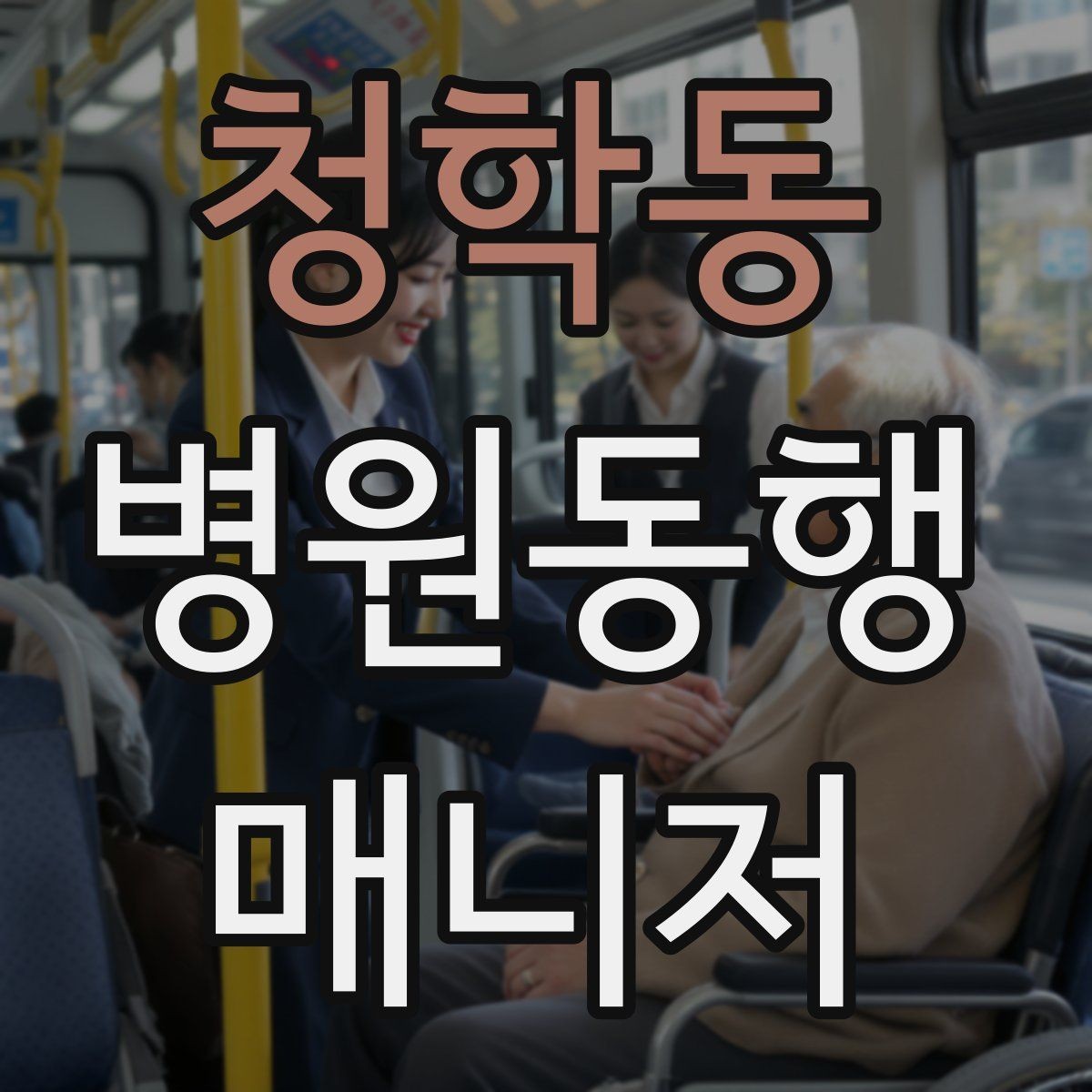 청학동 병원동행매니저 자격증 할 수 있는 일과 하면 안 되는 일 정리