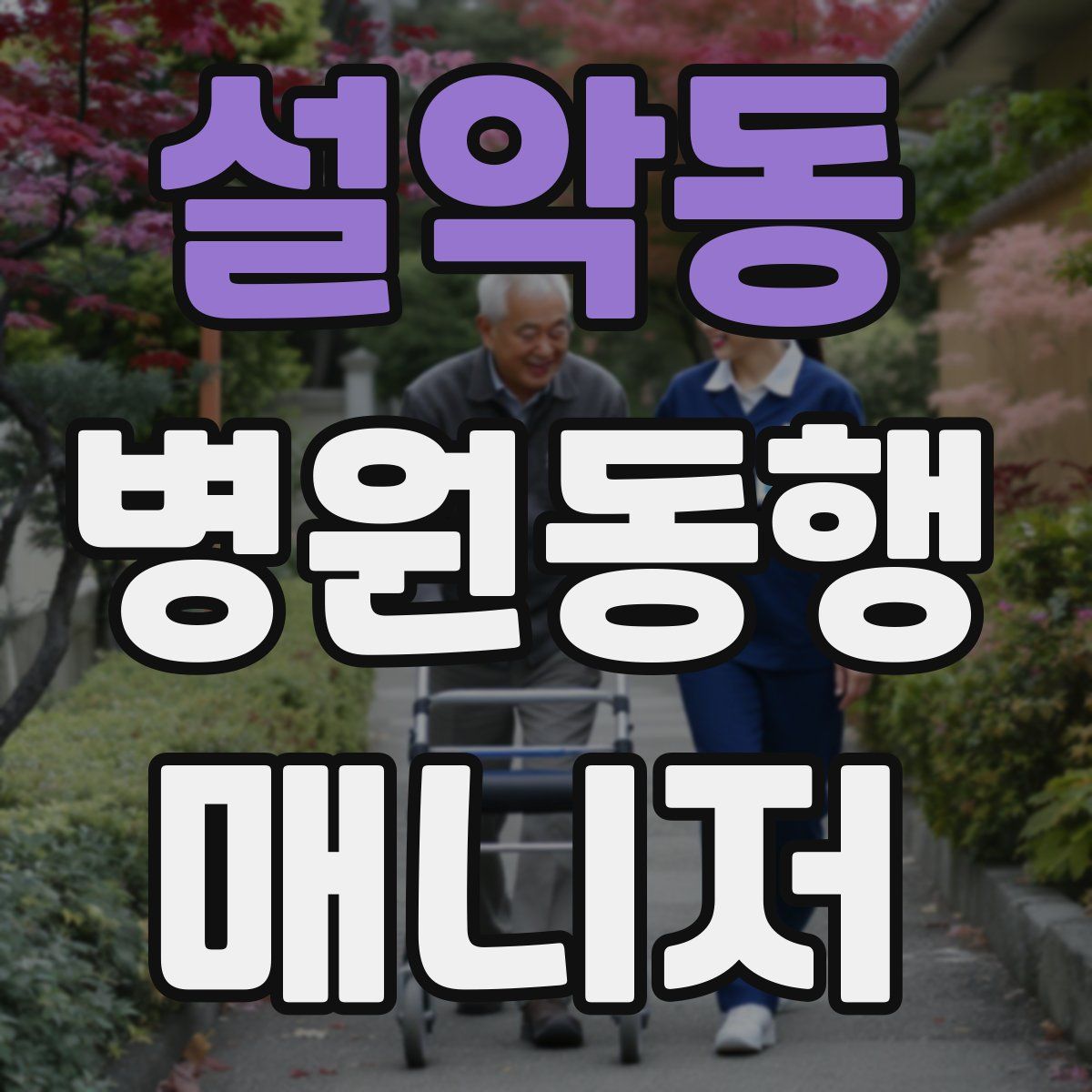 설악동 병원동행매니저 자격증