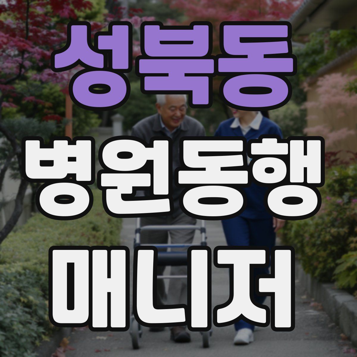 성북동 병원동행매니저 자격증