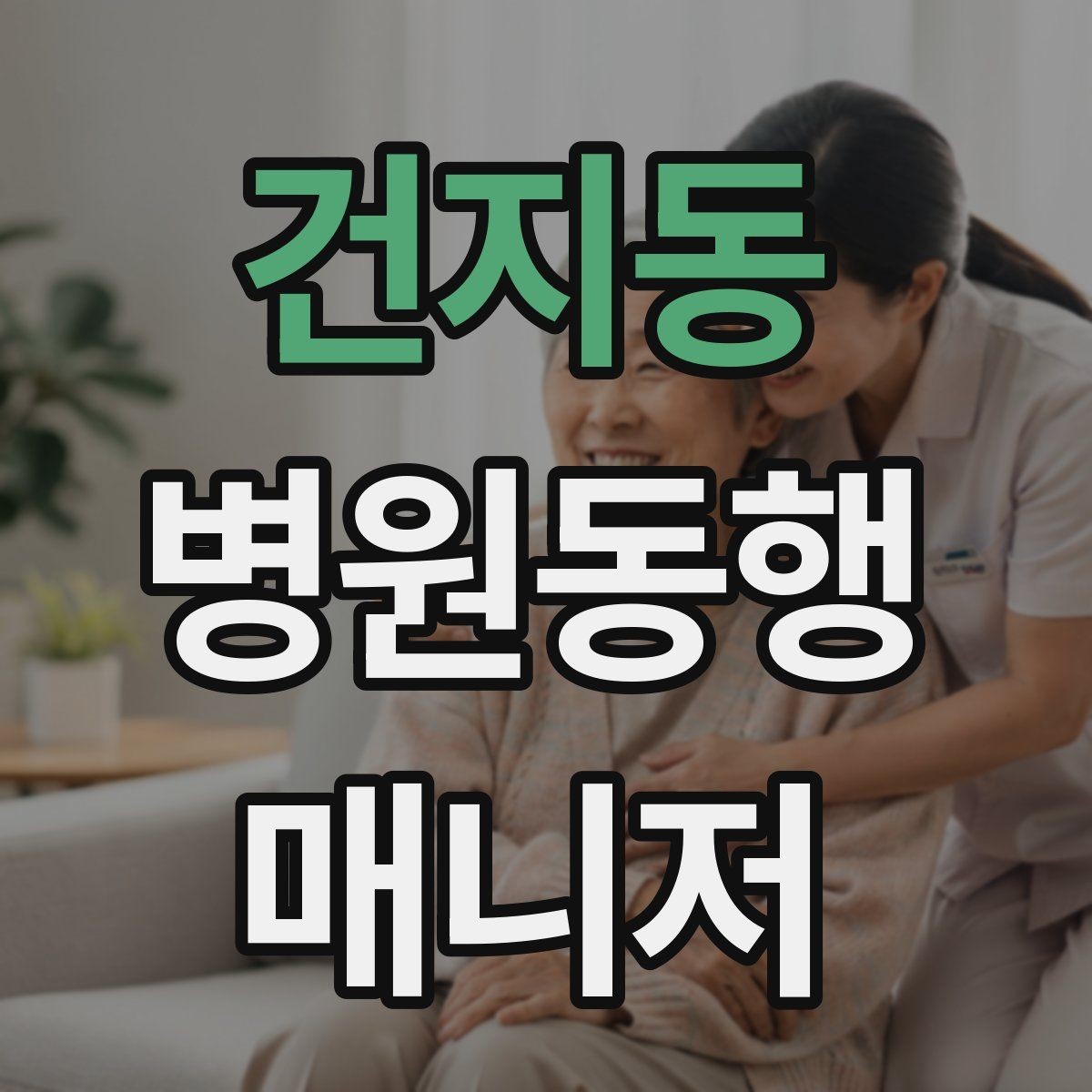 건지동 병원동행매니저 자격증 일정 확정 전 확인 질문 리스트