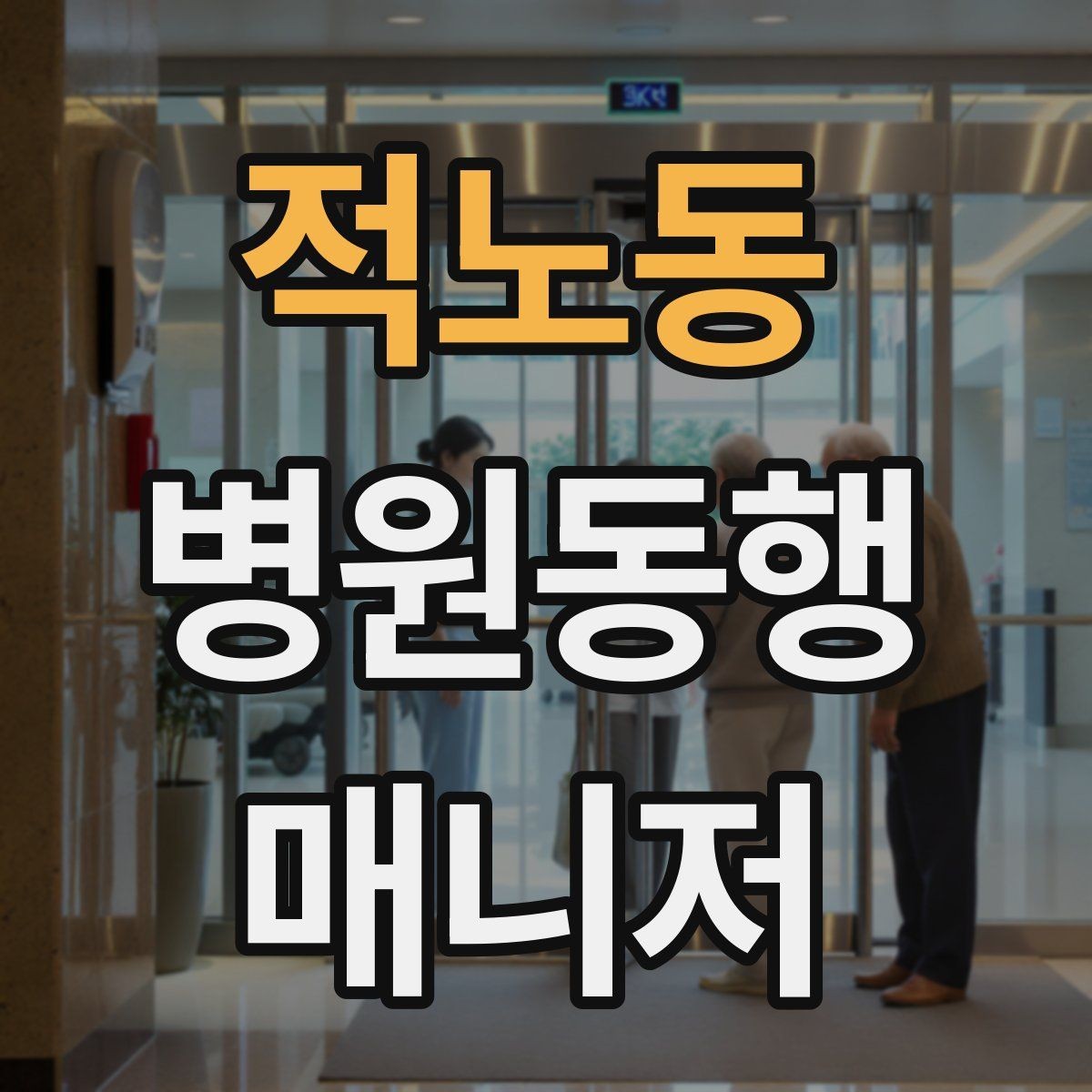 적노동 병원동행매니저 자격증 보행이 불안정한 고객 동행 팁