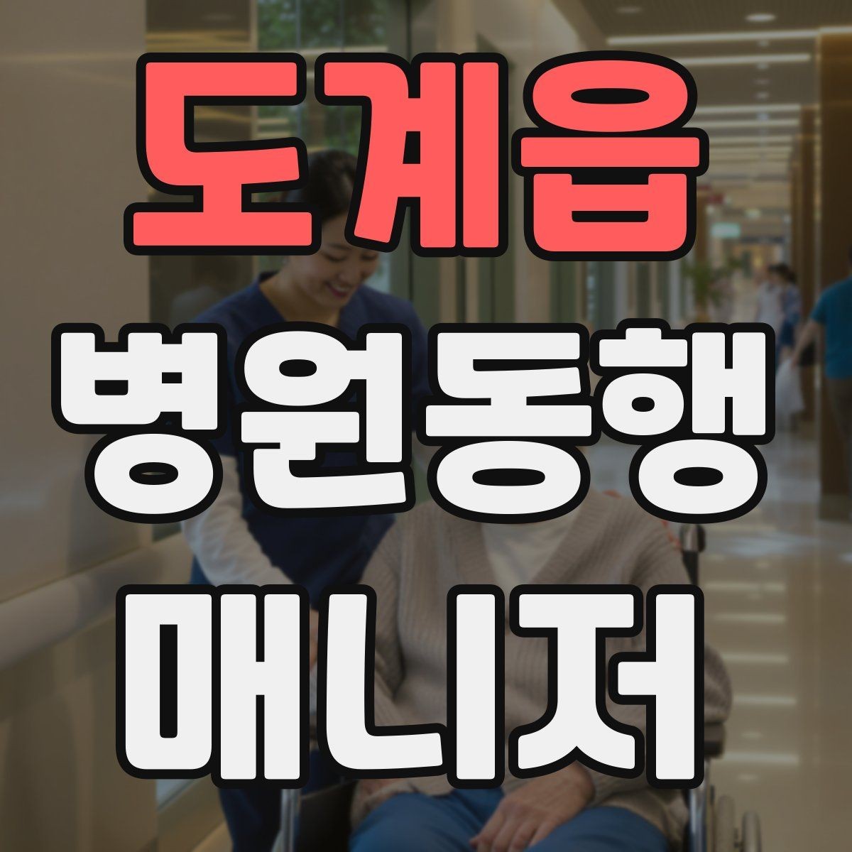 도계읍 병원동행매니저 자격증 동행 중 사고 예방을 위한 기본 수칙
