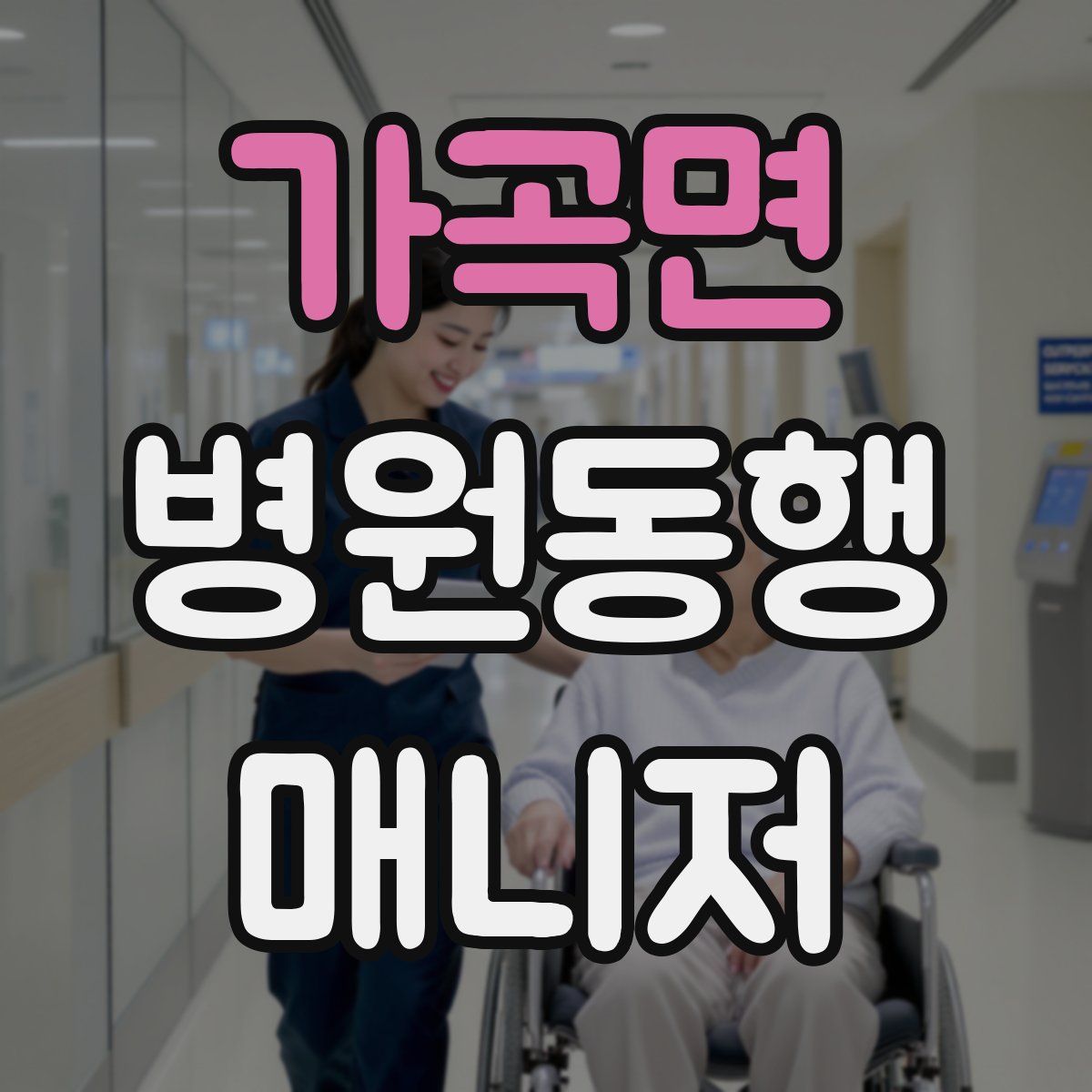 가곡면 병원동행매니저 자격증