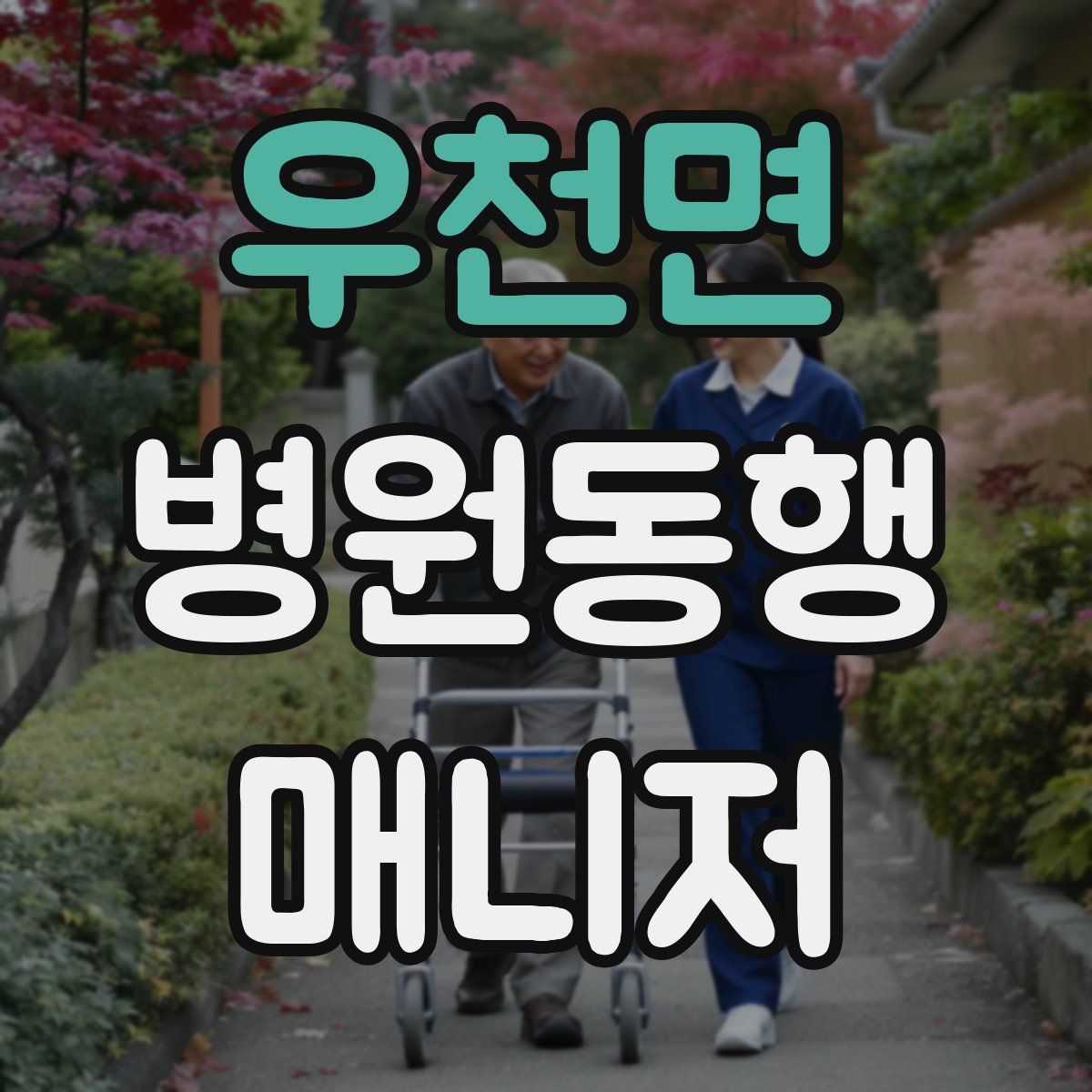 우천면 병원동행매니저 자격증