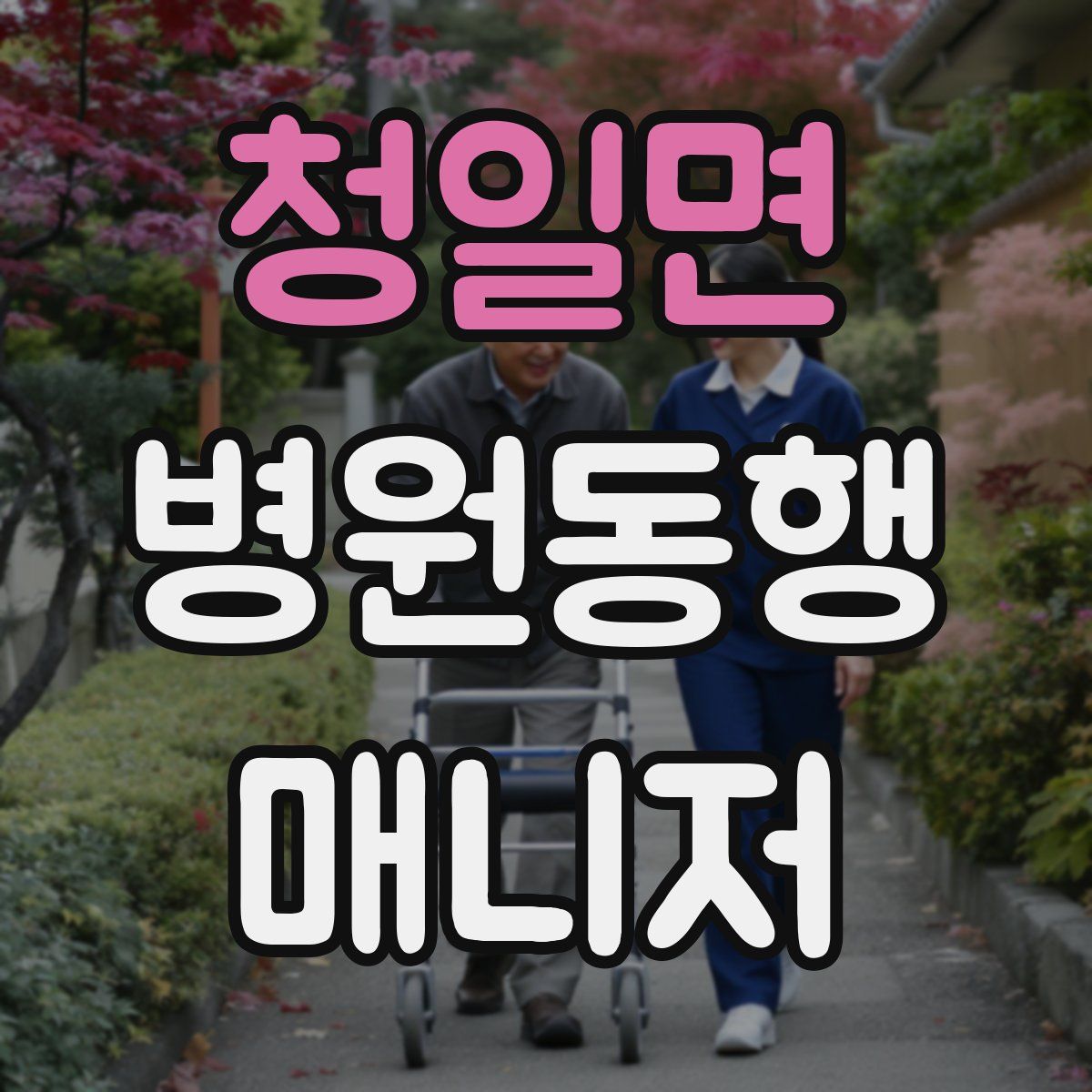 청일면 병원동행매니저 자격증