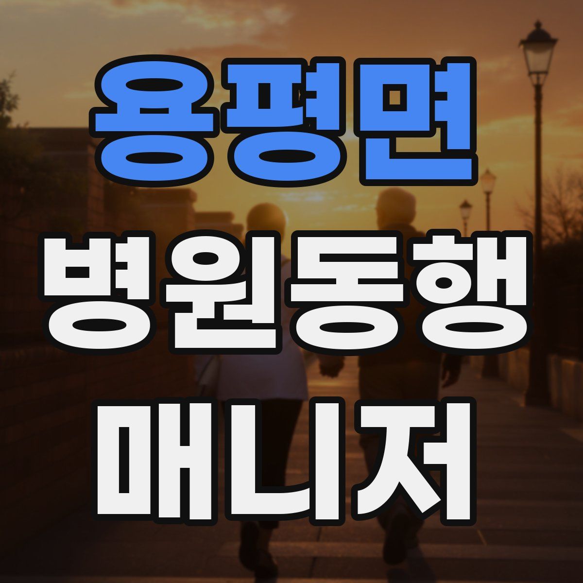 용평면 병원동행매니저 자격증