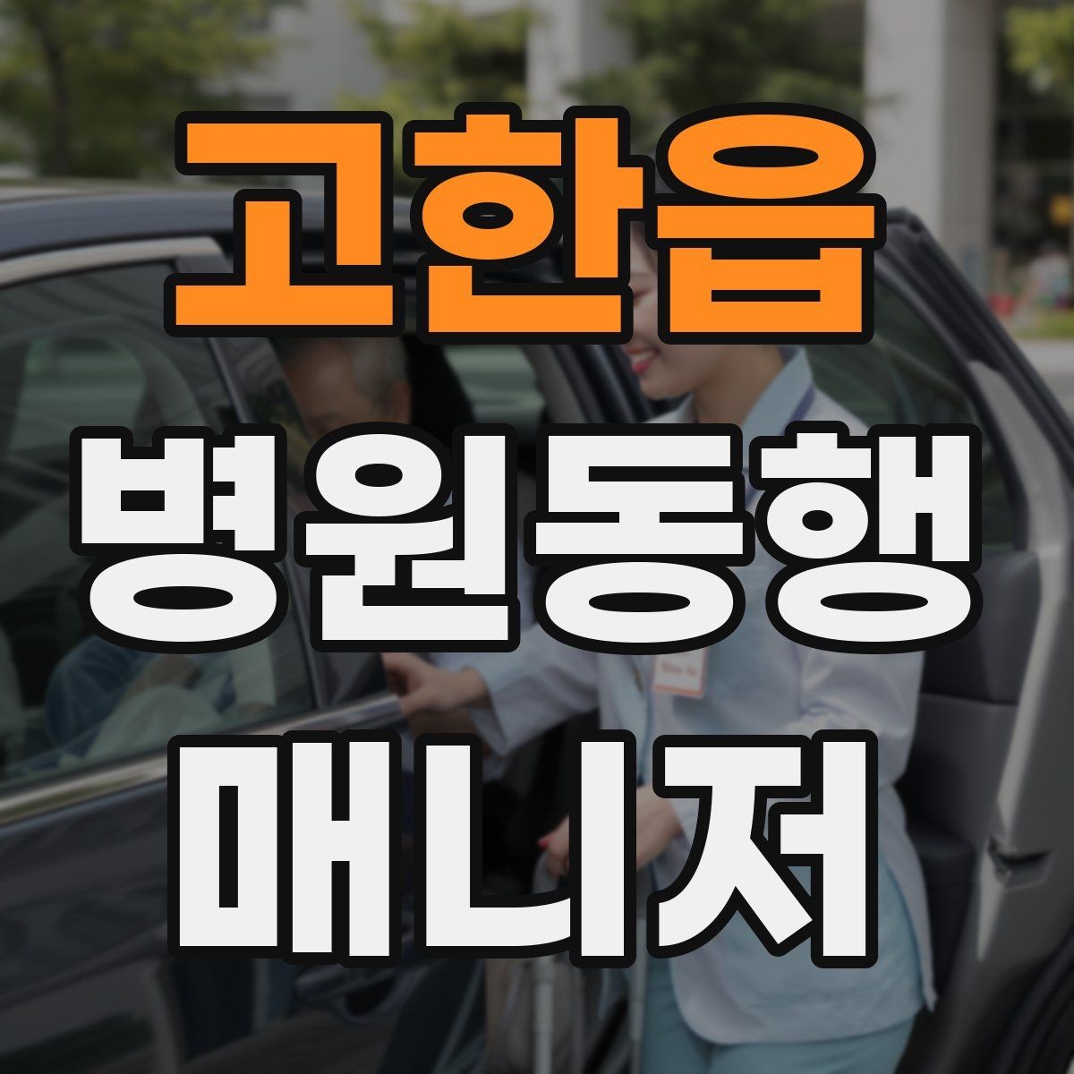 고한읍 병원동행매니저 자격증 현장에서 자주 쓰는 표현 정리