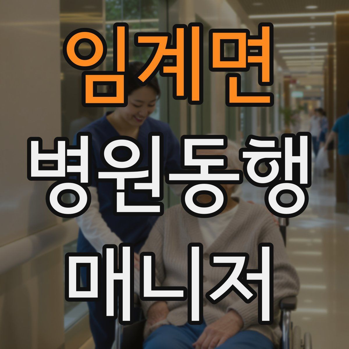 임계면 병원동행매니저 자격증