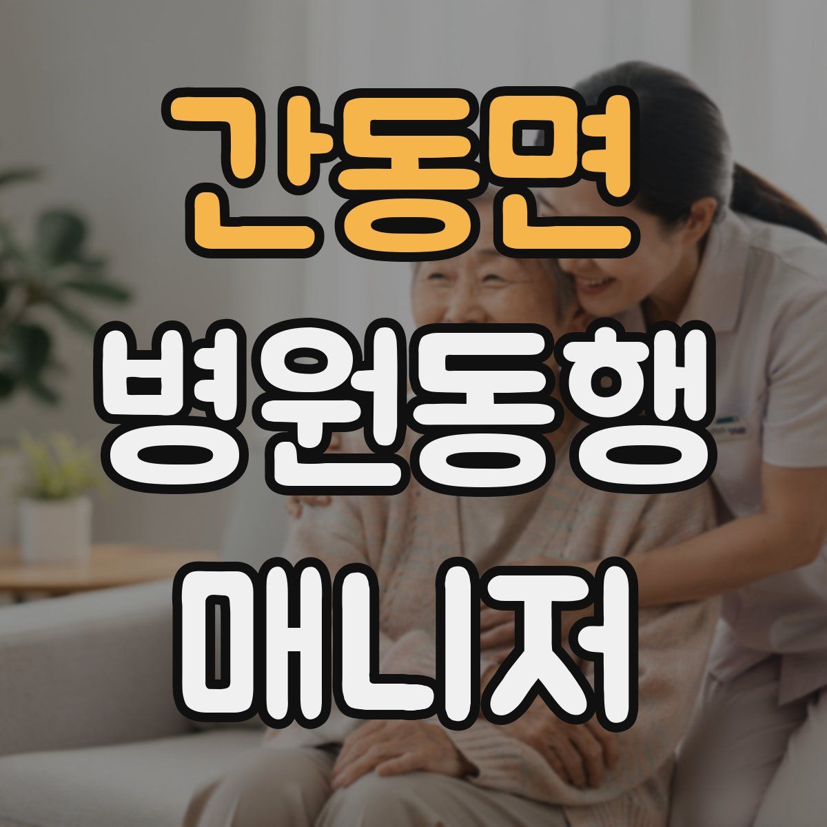 간동면 병원동행매니저 자격증