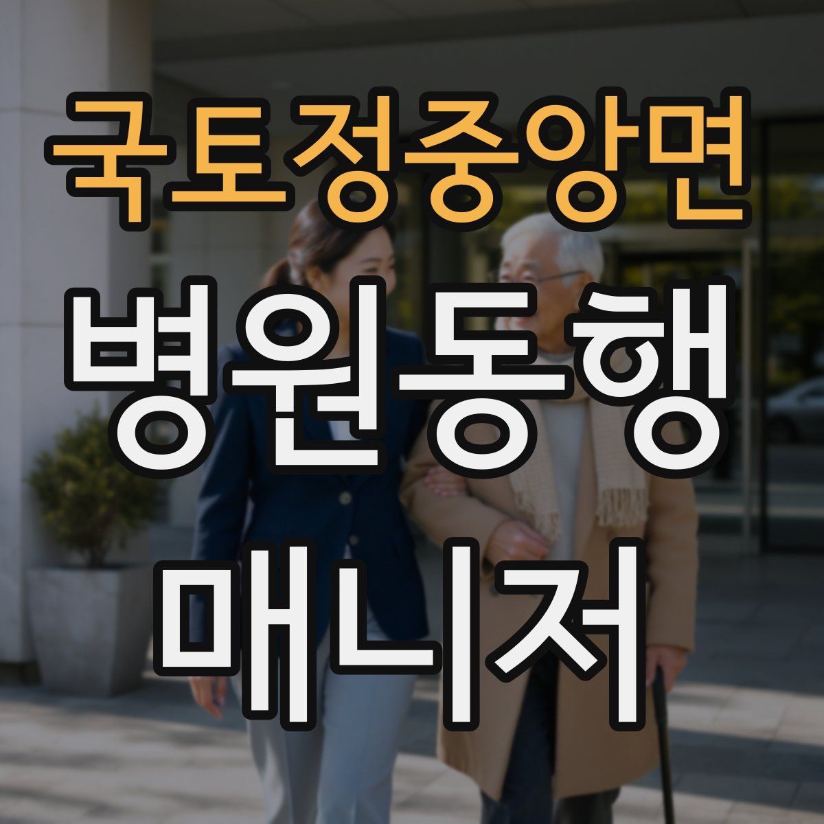 국토정중앙면 병원동행매니저 자격증