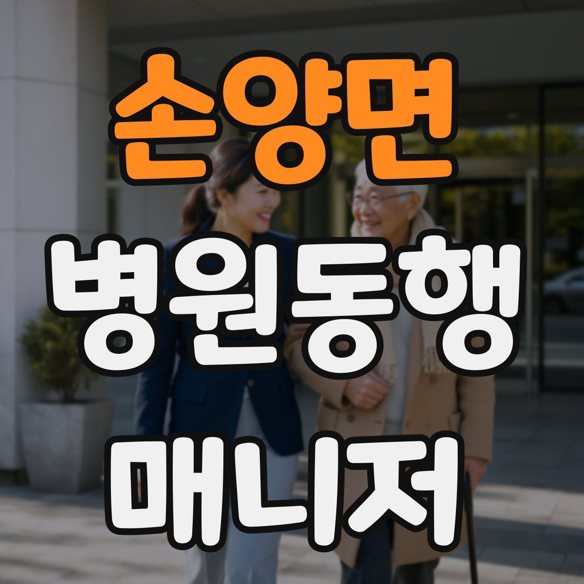 손양면 병원동행매니저 자격증
