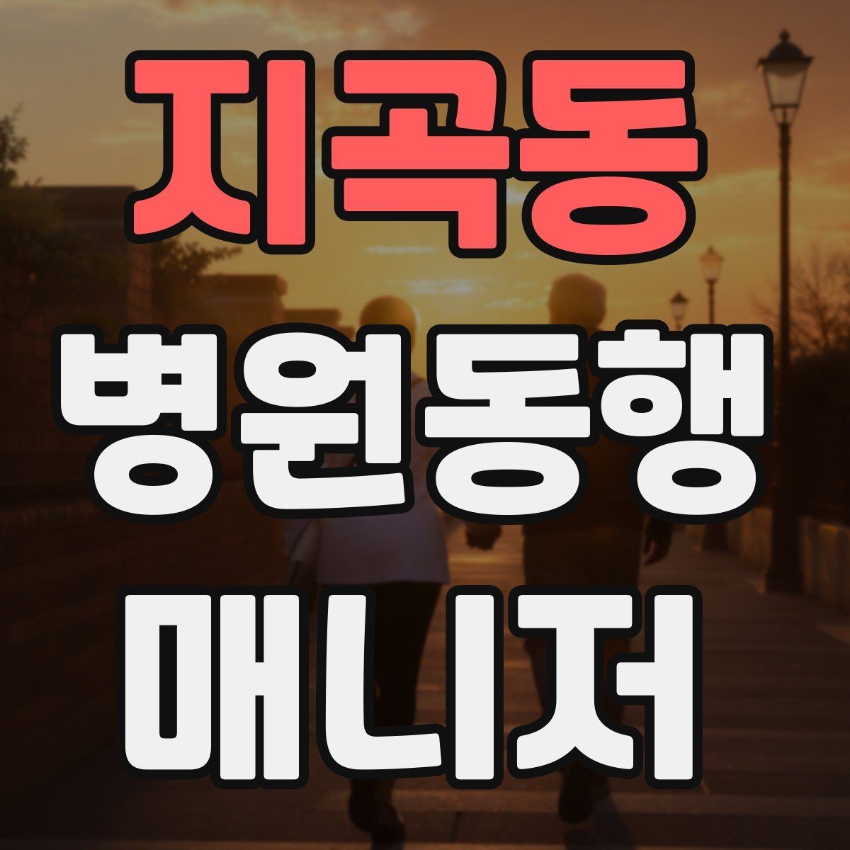 지곡동 병원동행매니저 자격증 동행 후 요약 메시지 구성의 기본