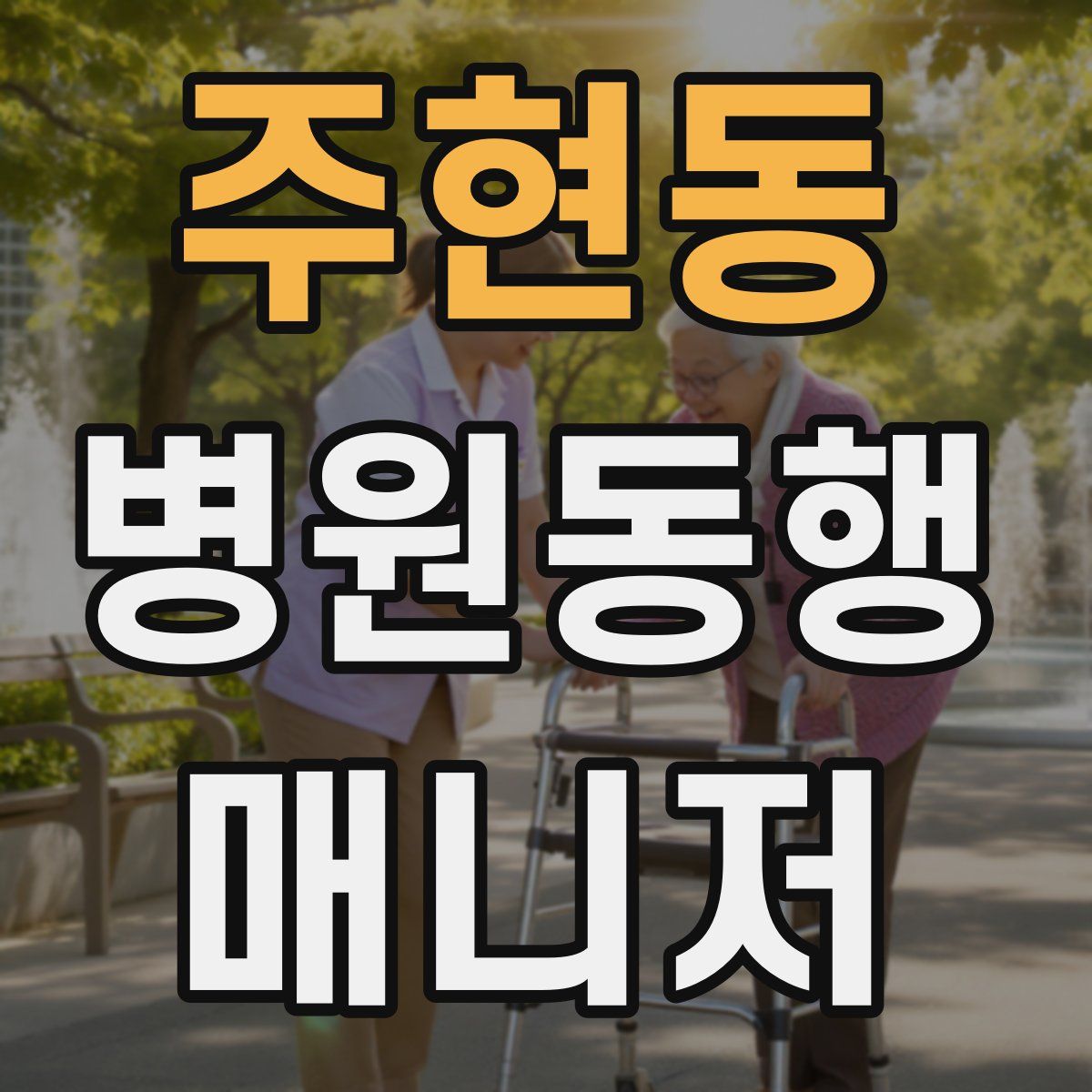 주현동 병원동행매니저 자격증