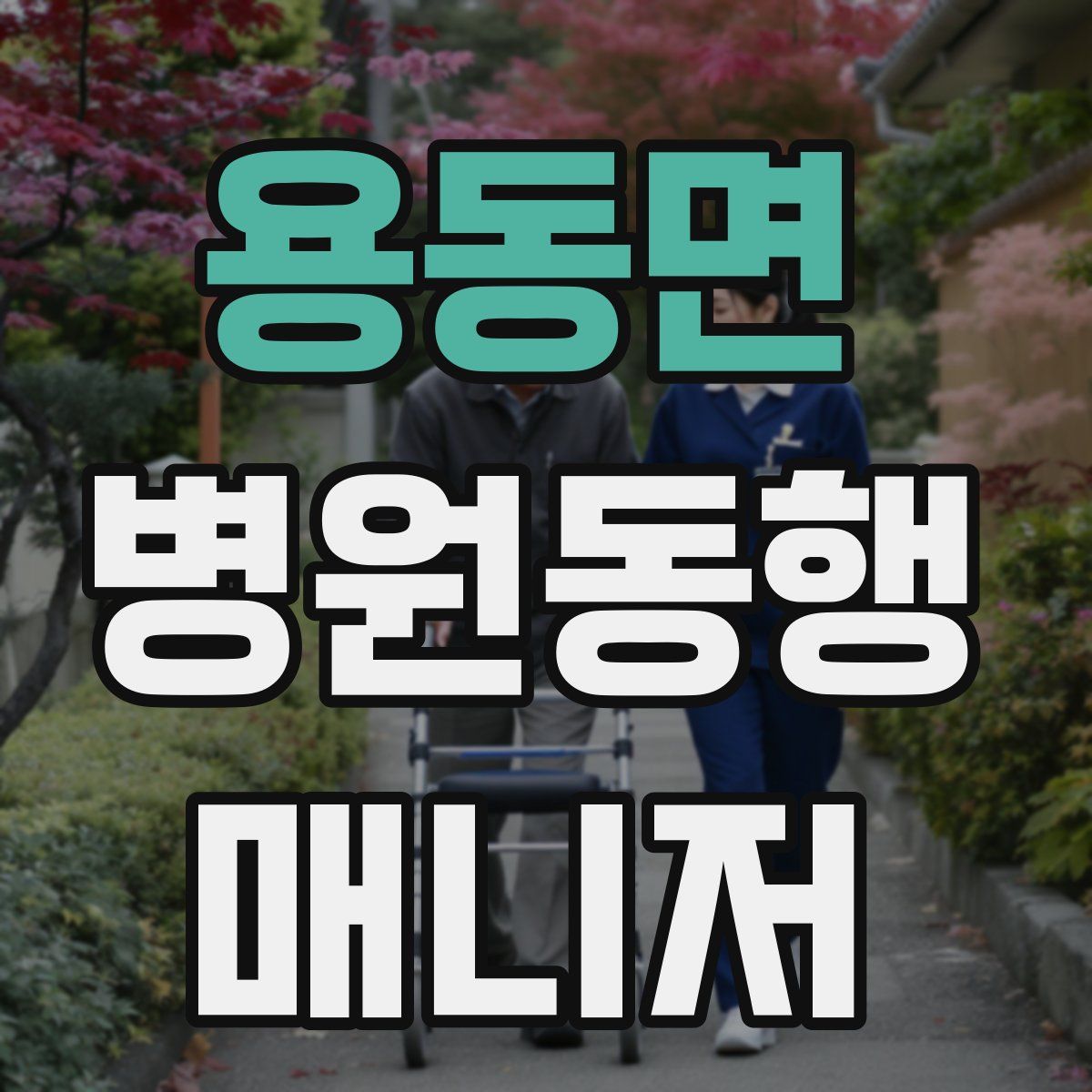 용동면 병원동행매니저 자격증