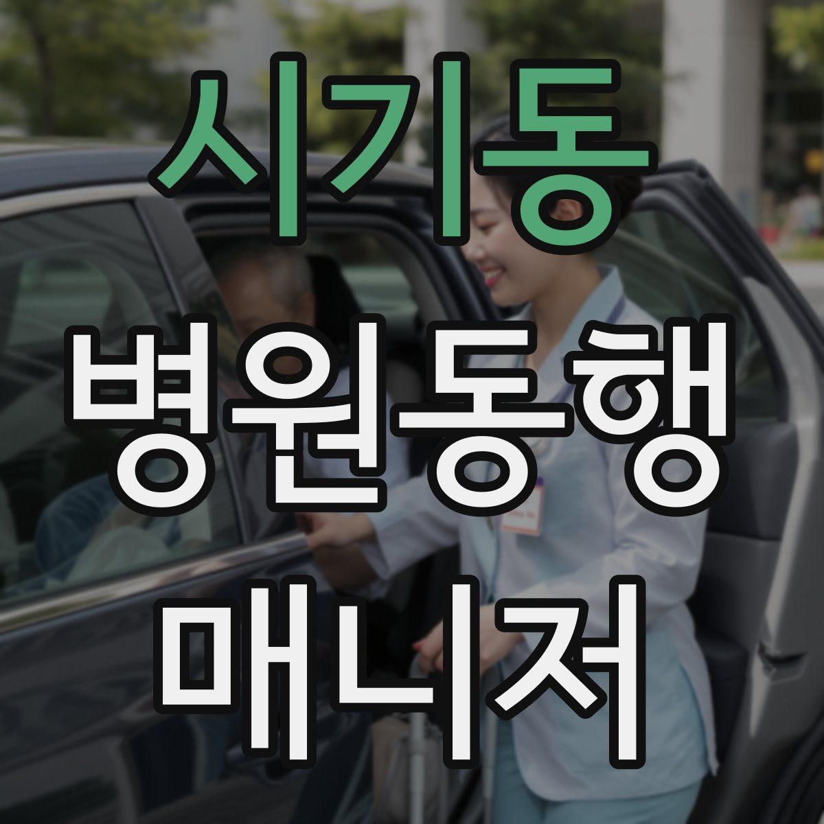 시기동 병원동행매니저 자격증